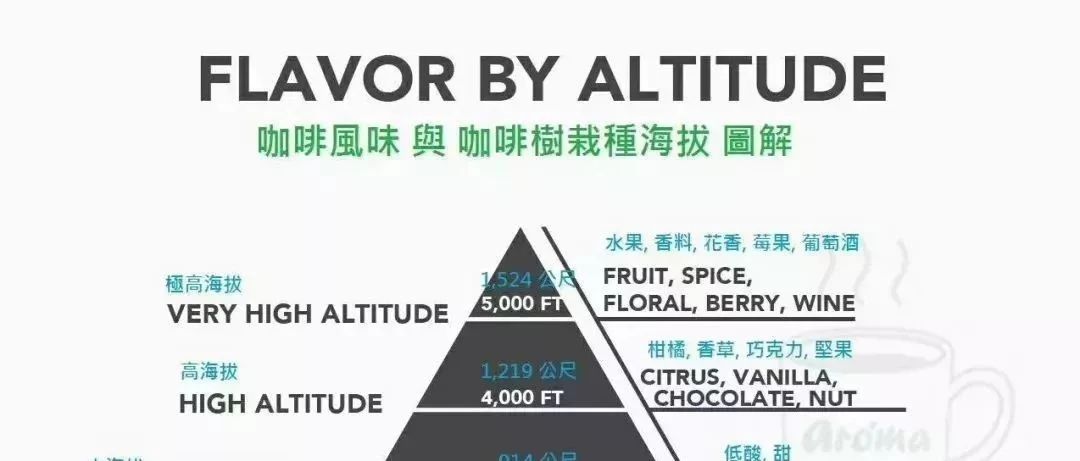 干貨 | 咖啡從采摘到制作的完整歷程！