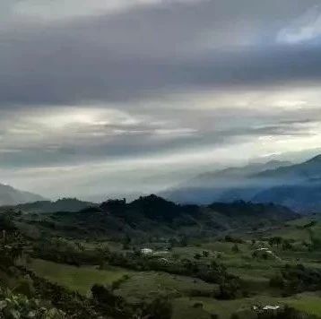 咖啡知識 | 咖啡為什么一定要高海拔？