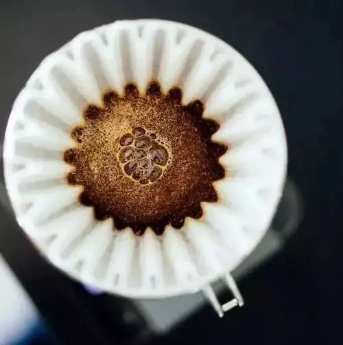 手沖咖啡悶蒸，有多重要？| 快問快答