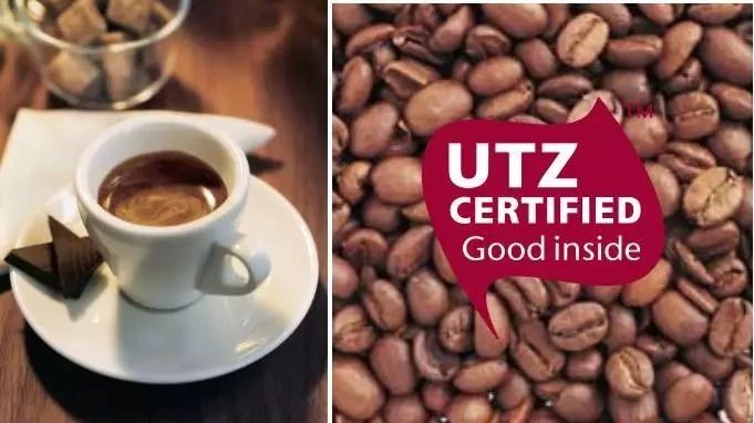 你所不知道的“UTZ認(rèn)證咖啡”