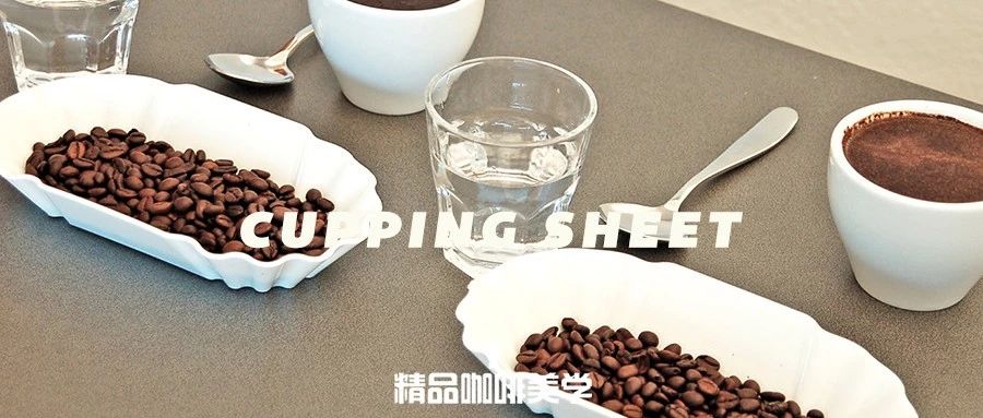 SCA杯測表太高深？不妨試一下這個(gè)簡單的入門杯測表格