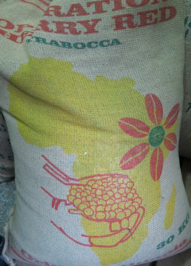 “紅櫻桃計劃”其實是什么項目？