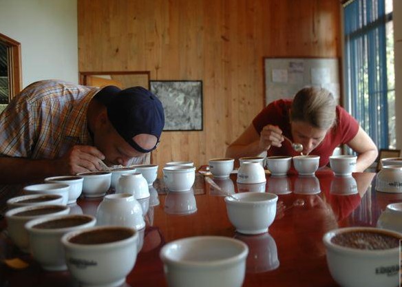 專業(yè)咖啡杯測術語