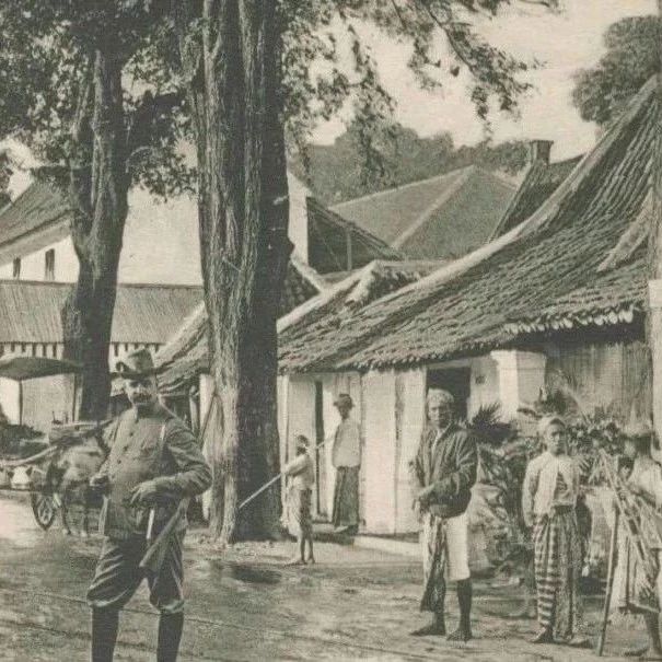 日本人最早挖掘的曼特寧其實(shí)是這樣的曼特寧！