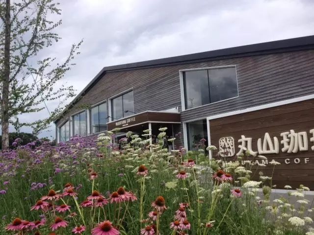 這家日本咖啡公司牛在哪？