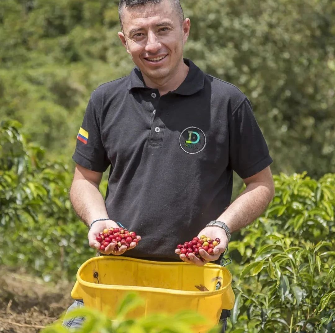 咖啡產(chǎn)區(qū) | 哥倫比亞天堂莊園咖啡雙重厭氧水洗卡斯提優(yōu)