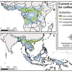 適宜種咖啡的地方，可能會(huì)在 年間減少%以上！