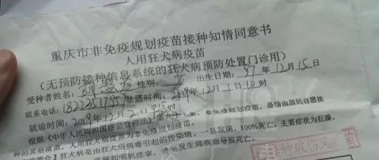 顧客進(jìn)貓咖店消費(fèi)被咬，店家：告我們??！