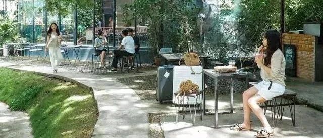 開在森林里的咖啡館，美女最愛逛！