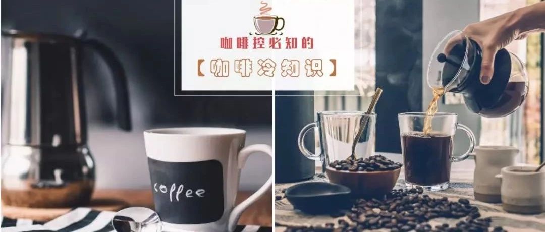 咖啡控必知的‘冷知識(shí)’ | 咖啡是羊吃出來(lái)的？全世界最貴的“屎”咖啡不是貓屎咖啡！
