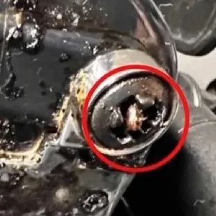 小強(qiáng)風(fēng)味咖啡什么味道？臺(tái)灣男子以身作則試飲三個(gè)月！