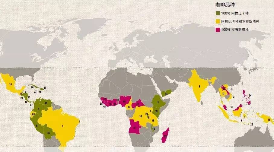 咖啡主要生產(chǎn)國知識大全