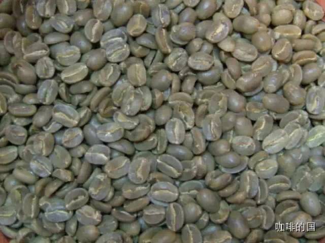 精品咖啡生豆的保鮮期是多久？