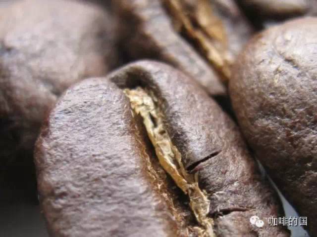 咖啡用品知識(shí) 磨豆機(jī)使用方法