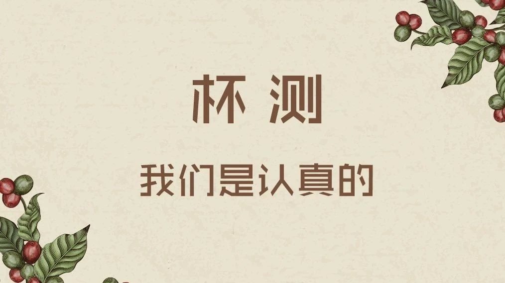 杯測，我們是認(rèn)真的-GCEF大中華區(qū)咖啡產(chǎn)業(yè)精英論壇