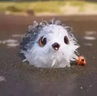 這部用 年時間做成的 分鐘動畫，暖哭了所有人！