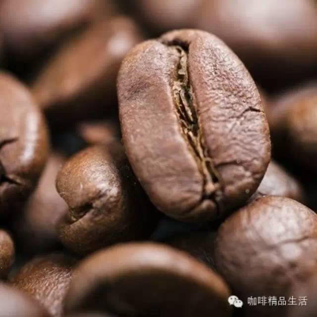 兩張好圖讓你更懂咖啡！