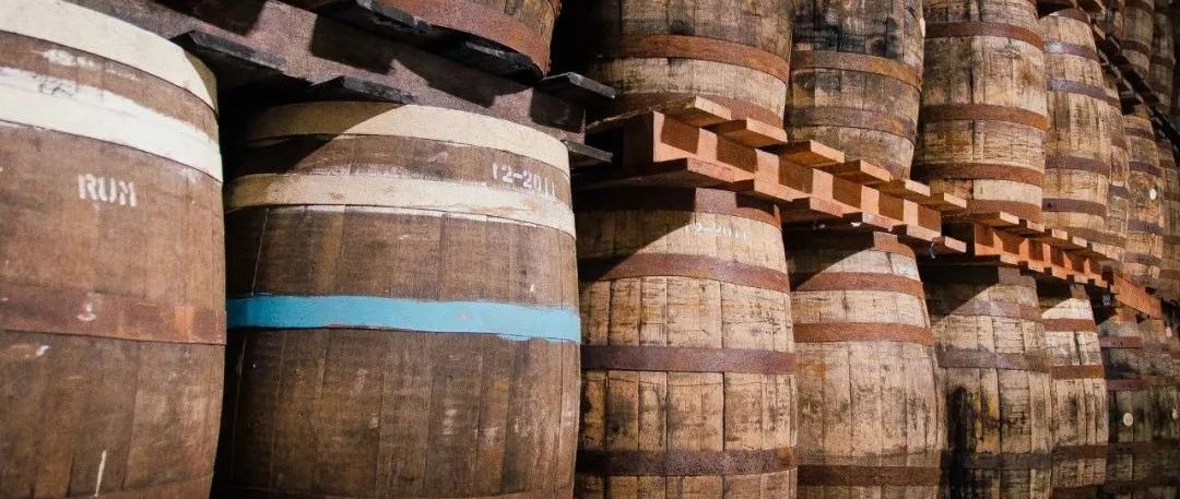 折上新??！圣荷西「朗姆酒桶發(fā)酵處理」咖啡！??！