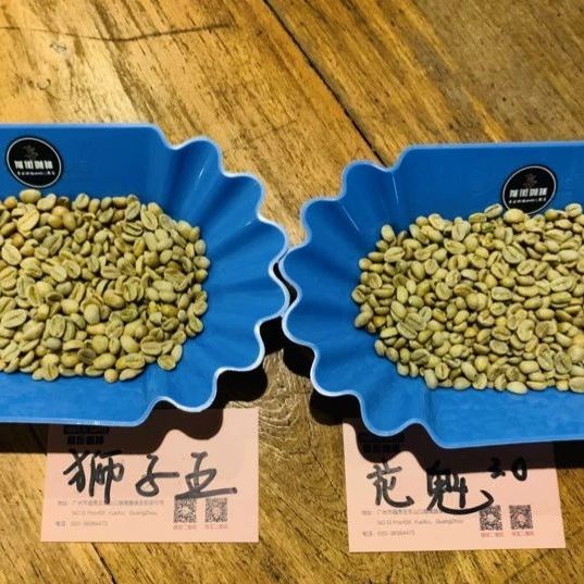 咖啡知識 | 西達摩古吉產(chǎn)區(qū)獅子王與花魁 .區(qū)別??！