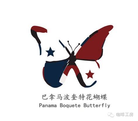 【手沖咖啡】巴拿馬花蝴蝶手沖心得和杯測風味