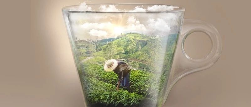 LAVAZZA ！Tierra！拉丁美洲系列新品咖啡豆