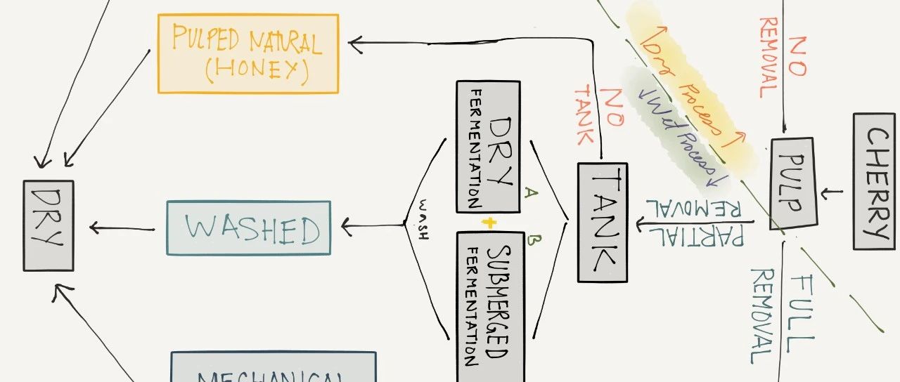 【譯文】越過產(chǎn)地看咖啡風味多樣性