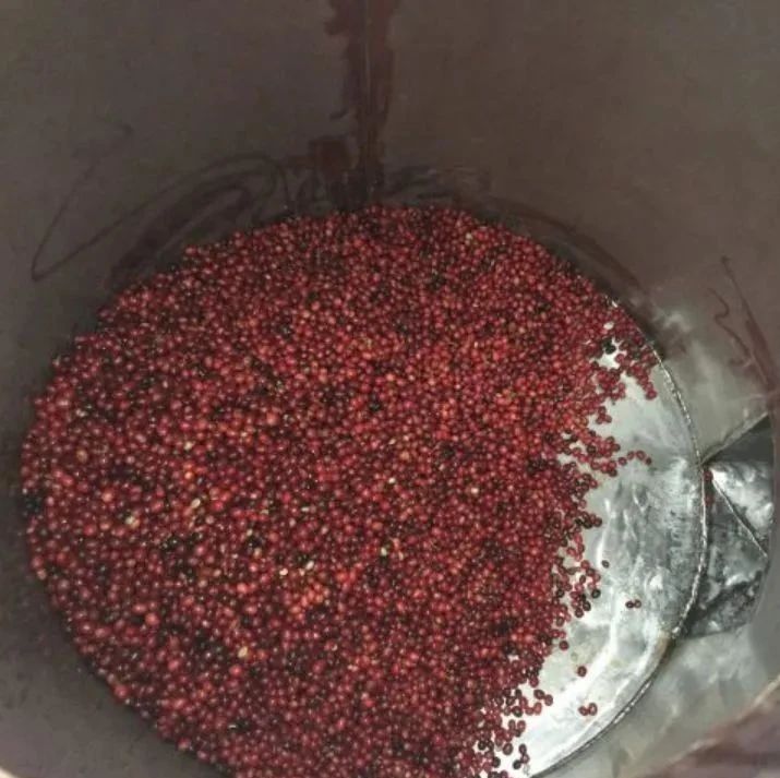 咖啡師養(yǎng)成記 | 什么是紅酒處理法？