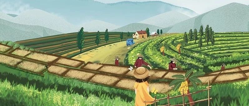 超干貨 |  咖啡年度總結！