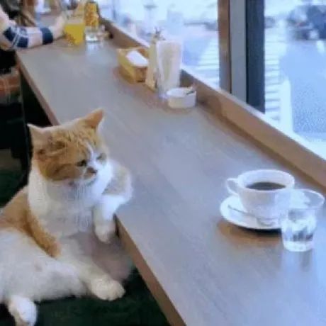 什么什么？！喝咖啡能預(yù)測(cè)天氣？？？