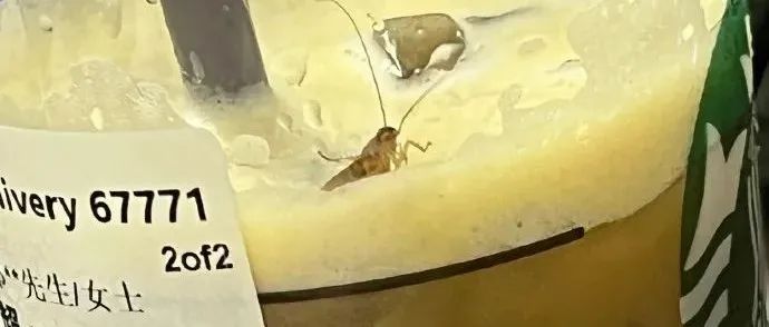 星巴克咖啡里面喝出蟑螂？！星巴克已作出官方回應(yīng)！