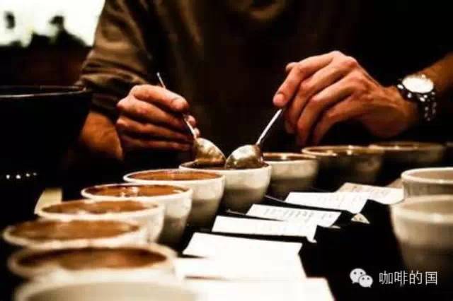 精品咖啡基礎(chǔ)知識 咖啡杯測的目的