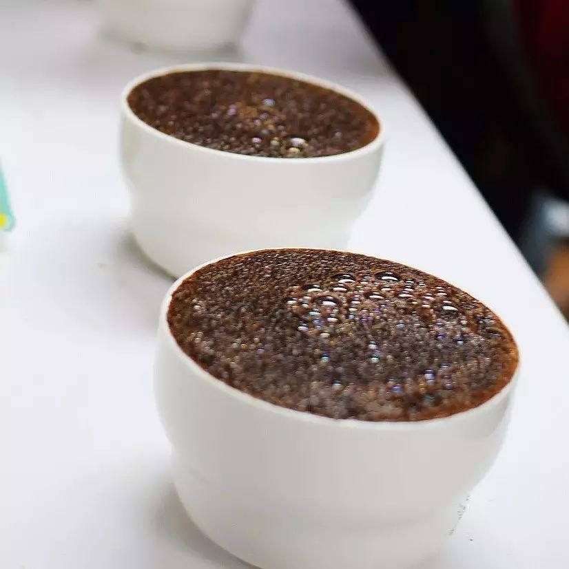 深度好文 | 杯測標(biāo)準(zhǔn)化的重要性