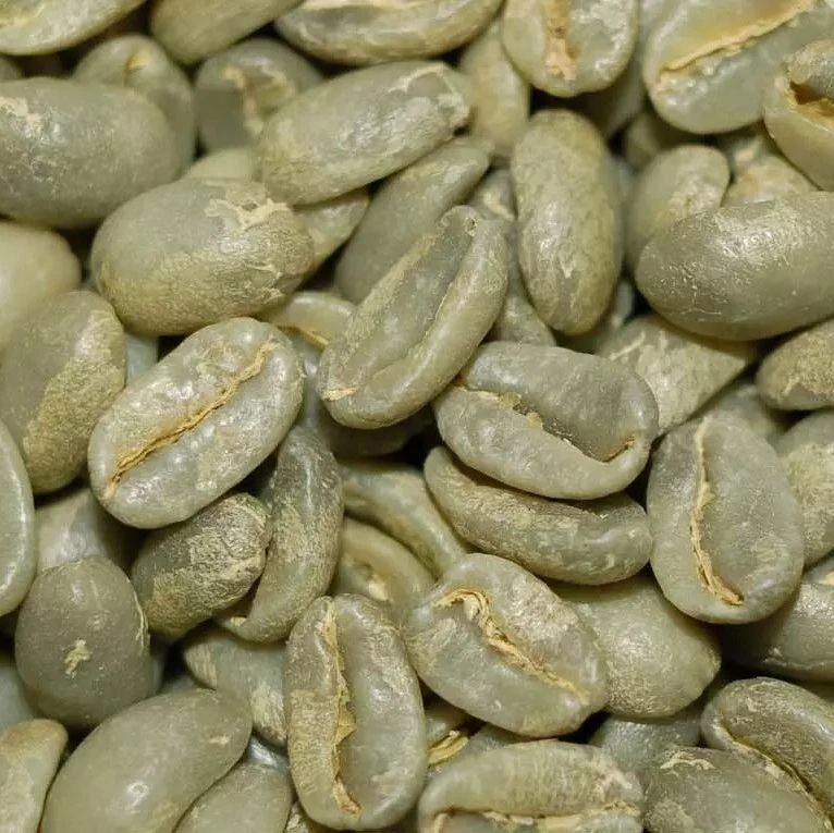 咖啡知識(shí) |? 老豆與新豆有什么區(qū)別？