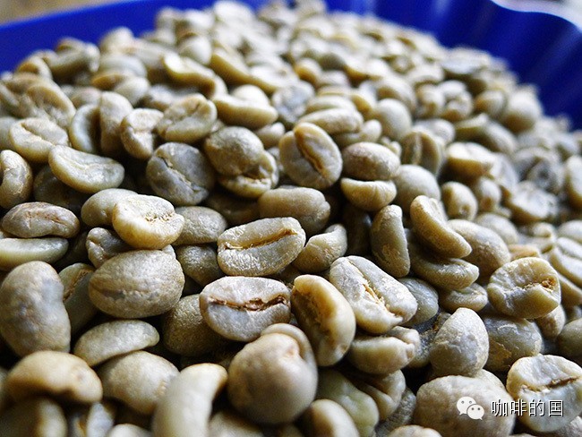 奇妙水果風(fēng)味的咖啡 肯尼亞咖啡