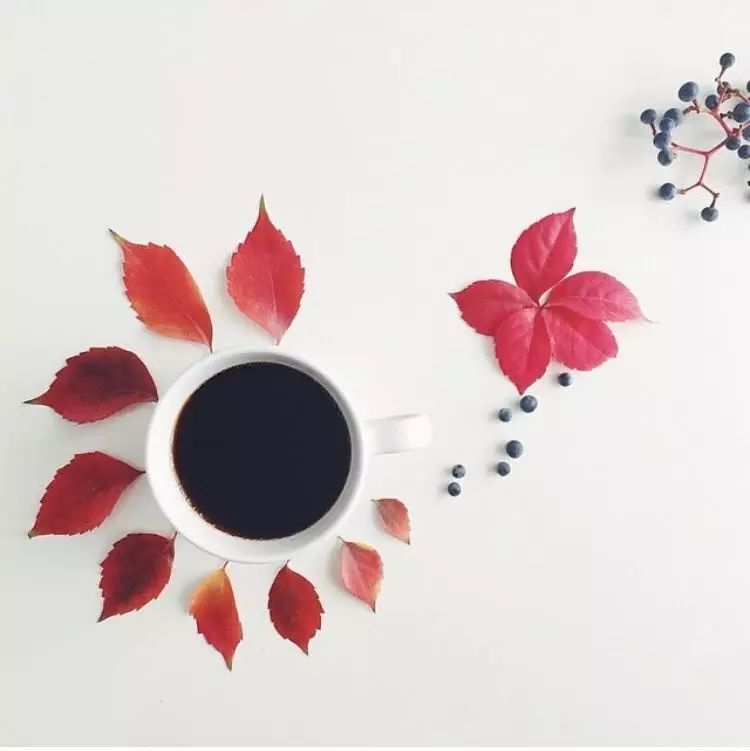 生命新知 | 喝咖啡使人長(zhǎng)壽