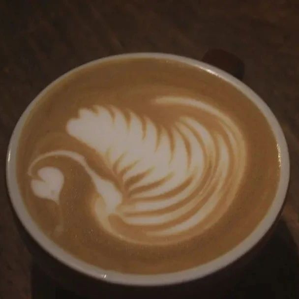 咖啡師養(yǎng)成記 | 教練，我想學(xué)天鵝圖案的拉花！