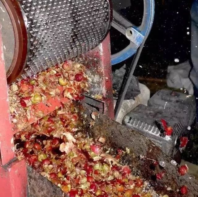 咖啡特殊處理法 |  咖啡濕刨法的霉菌可以帶來好風(fēng)味？！