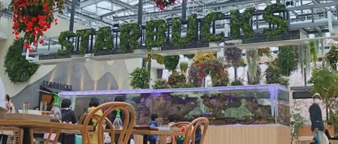 星巴克換全新造型！全球首家集咖啡＆賞花＆水族館的星巴克溫室花園店來(lái)了！