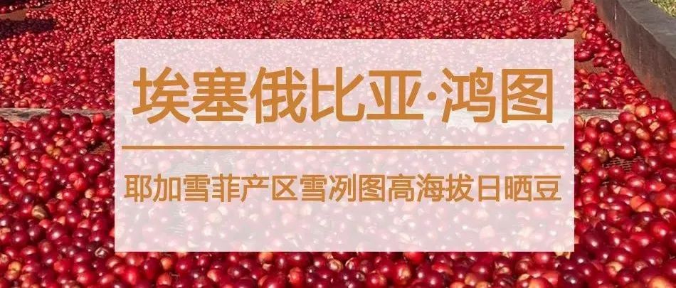 耶加雪菲專場(chǎng)福利>手沖咖啡控速度入手！