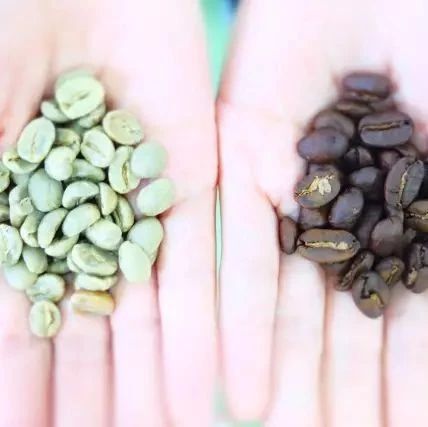 CREMA x Brewista | SCA Roasting 初中級(jí)烘焙認(rèn)證課程