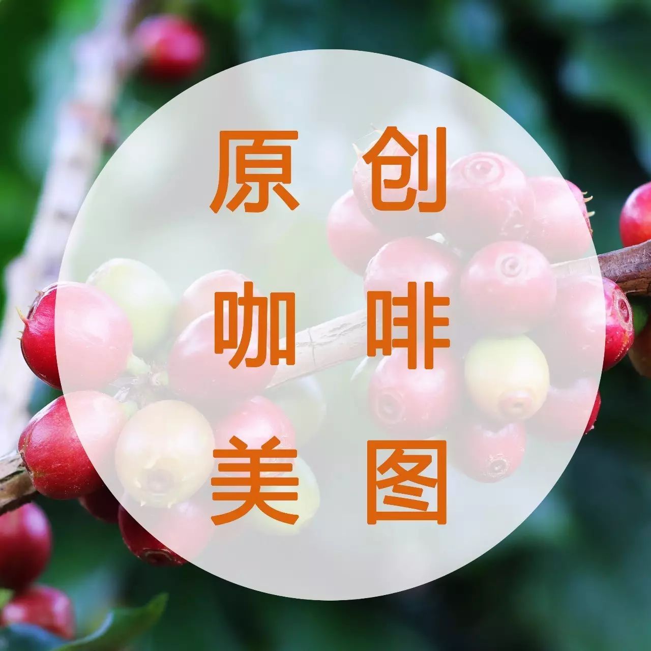 咖啡主題手機壁紙 | 拉花就像愛愛