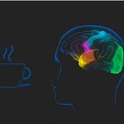 當(dāng)我們喝咖啡時(shí)，腦子里在想什么？