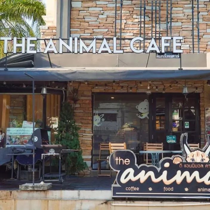 全面關停野生動物咖啡廳！