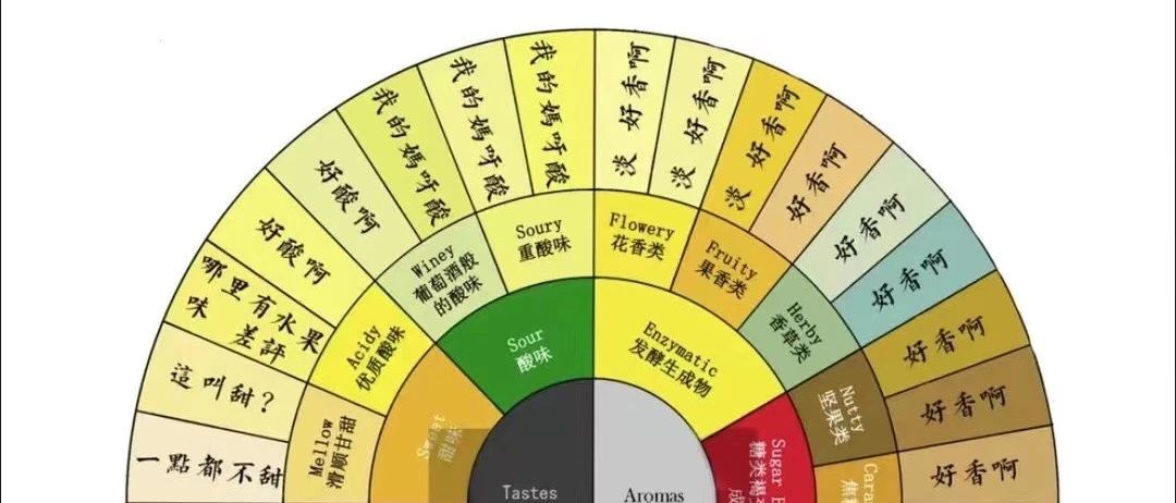 過(guò)于真實(shí)，消費(fèi)者版咖啡風(fēng)味輪