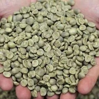 咖啡知識(shí) | 羅布斯塔種