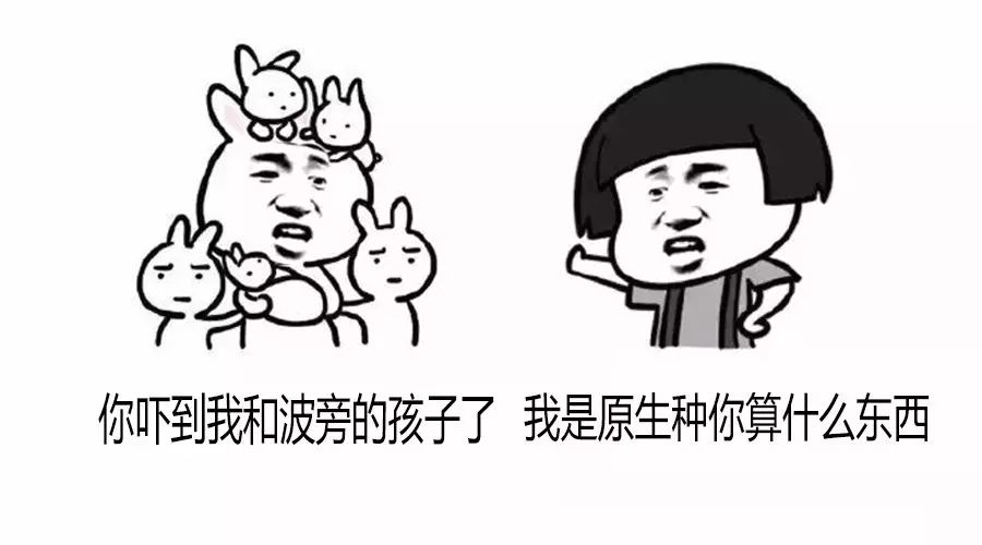 老司機在此，給你科普比人類還復(fù)雜的咖啡樹品種