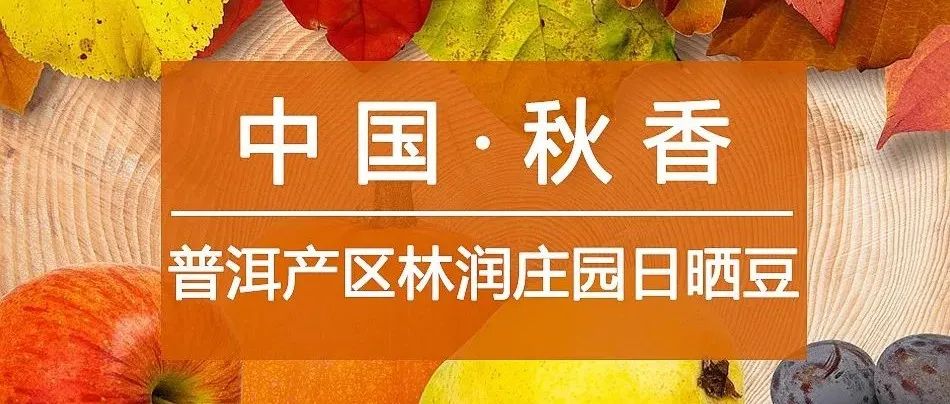 秋天喝啥咖啡最香？(有福利)