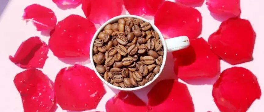 新產(chǎn)季花魁 折嘗鮮>咖啡控必入手！