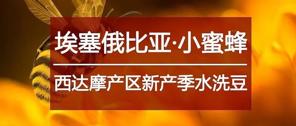 西達摩超甜豆  元搶購>速度入手！