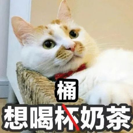 年輕人炫的奶茶，按“桶”算！